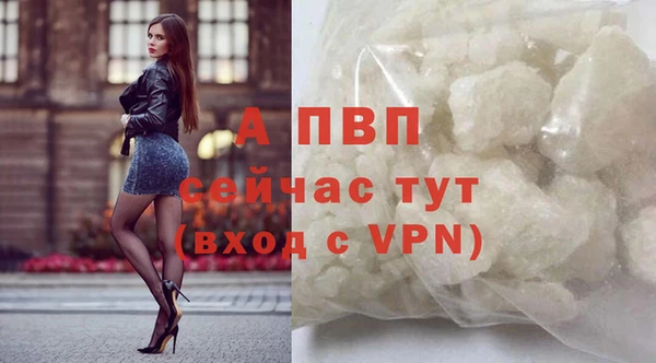 дмт Болхов