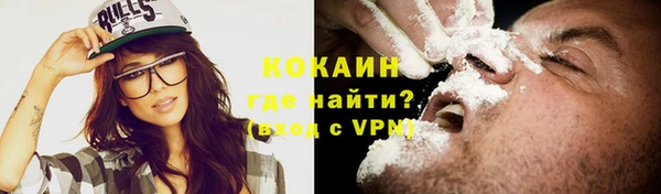 прущие грибы Болохово